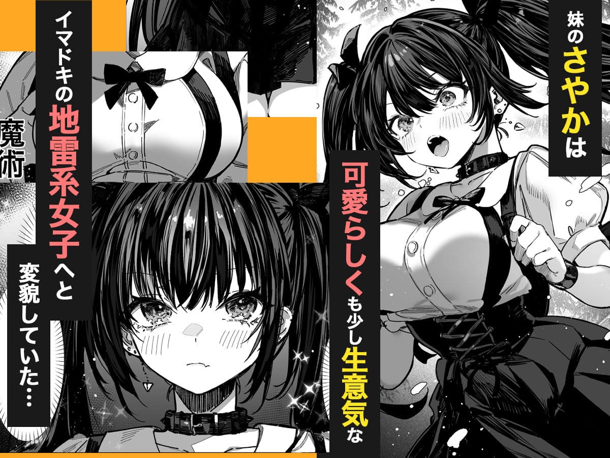 ハメゴト〜姉妹のひみつ〜 パイレーツキャット ネタバレ おすすめ