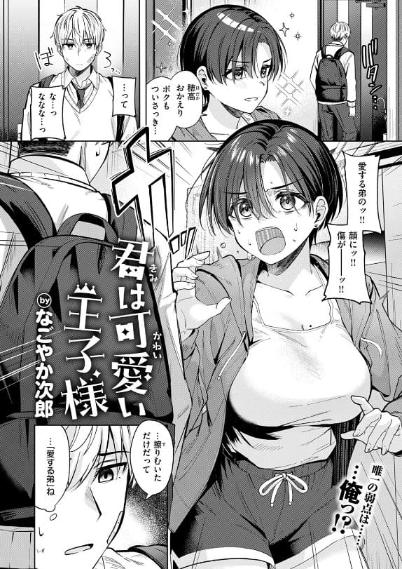 君は可愛い王子様 なごやか次郎 抜きどころ レビュー ネタバレ