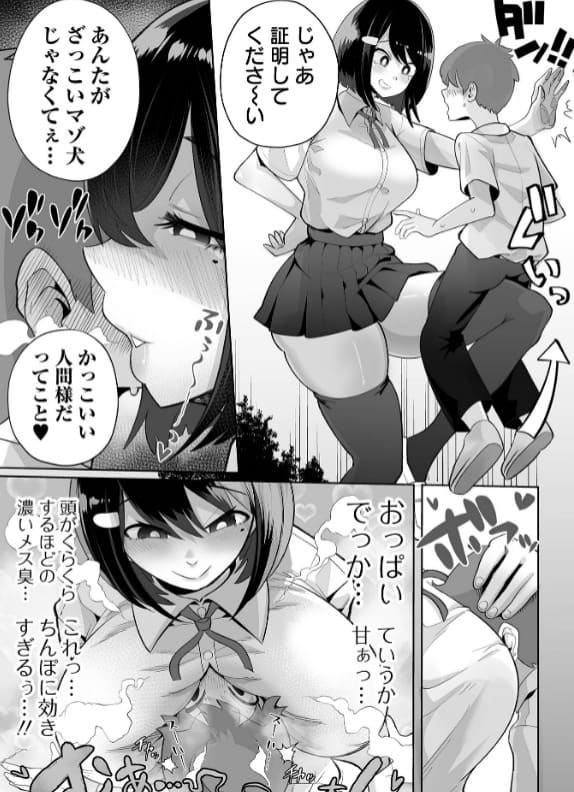 ザコマゾ・完全敗北 手羽咲ちきん 抜きどころ レビュー